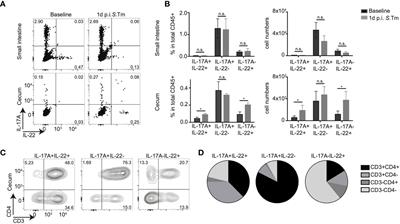 Induction of IL-22-Producing CD4+ T Cells by Segmented Filamentous Bacteria Independent of Classical Th17 Cells